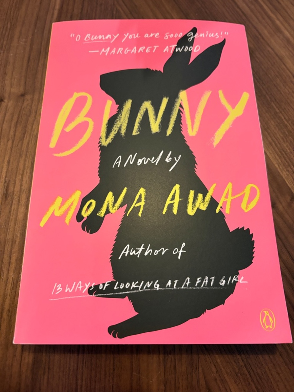 2/$10 Bunny by Mona Awad